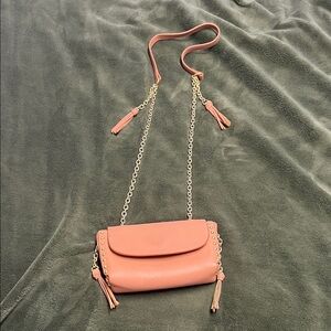 Elegant Pink Chain Strap Women's Bag
